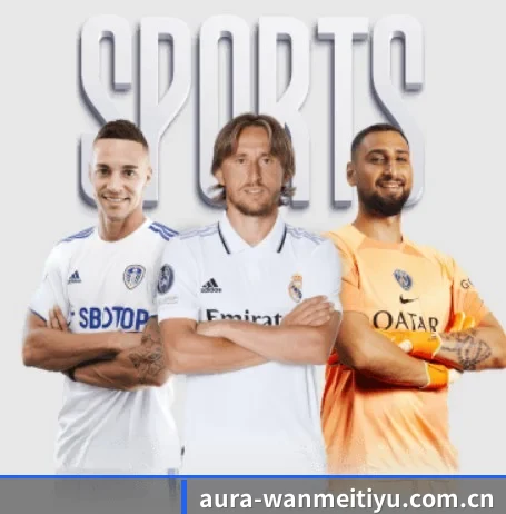 完美体育 APP（WMsports）