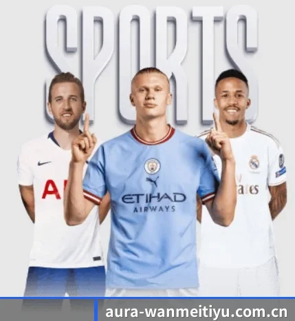 五大服务分区,信息按项目分类 - 多运动项目内容板块 - WMsports